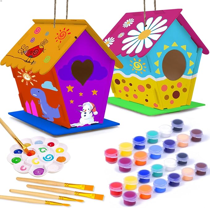 hapray 2 Pack Bird House Kit, DIY Birdhouse Kits, Wooden Crafts Arts by hapray