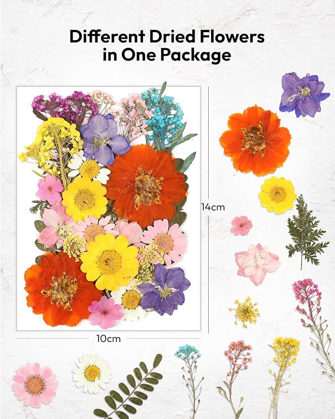 Dried Flowers, Resiners 174Pcs Pressed Flowers - Image 5