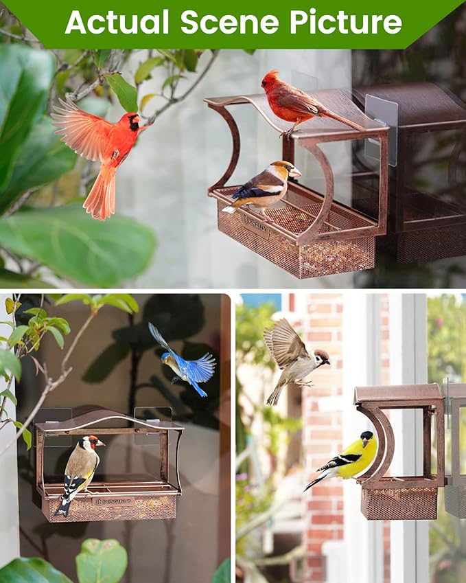 Window Bird Feeder, Metal - - Image 6