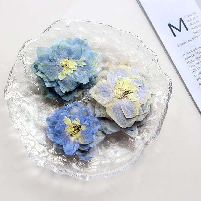 48 Pcs Dried Pressed Flowers for Resin DIY Art Crafts Natural Dry Sakura - Image 5