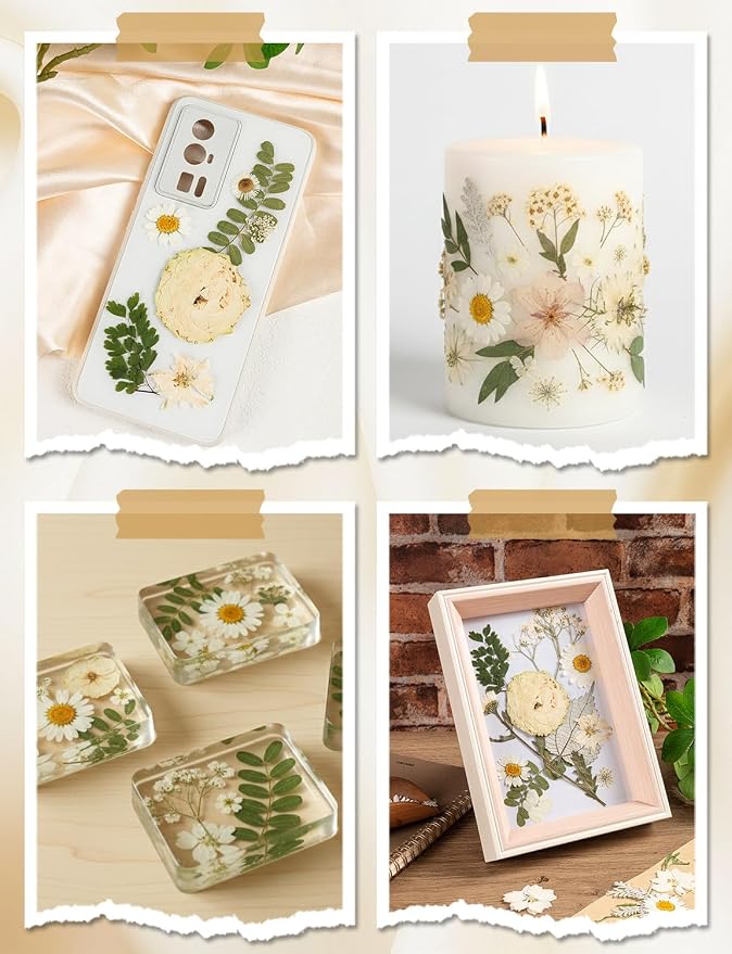 100pcs White and Light Yellow Dried Pressed Flowers Bulk, Natural Fall Pressed - Image 5