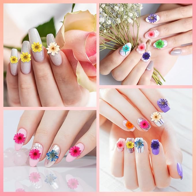 MARFOREVER 420 Pcs Small Dried Flowers - Image 6