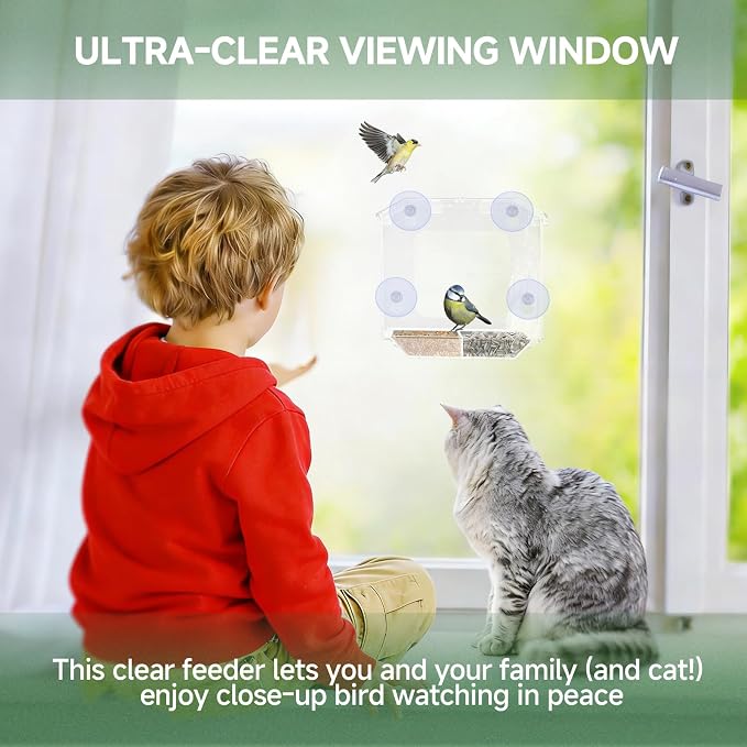 Window Bird Feeder with 4 Extra Strong Suction Cups | Clear Bird Feeder with - Image 7