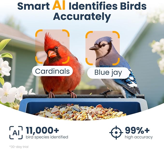 Smart Metal Bird Feeder with Camera, Light Blue | Squirrel Proof, 2.5K UHD AI - Image 4