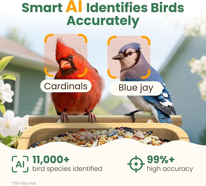 Smart Bird Feeder Camera with Solar Panel, Bamboo | 2.5K UHD, AI Identification - Image 3