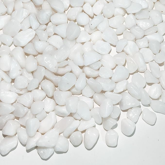 FANTIAN White Pebbles for Indoor Plants, 3/8 Inch Decorative White Stones. by FANTIAN-GardeningMakesLifeBetter
