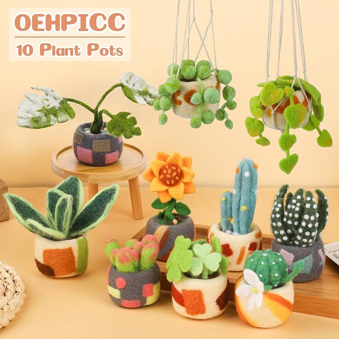 OEHPICC Needle Felting Kit, 10 Pack Plant Pot Needle Felting Starter Kit | - Image 5