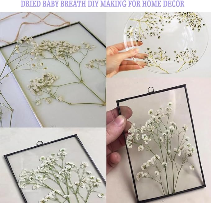 White Babys Breath Dried Pressed Flowers - Image 4