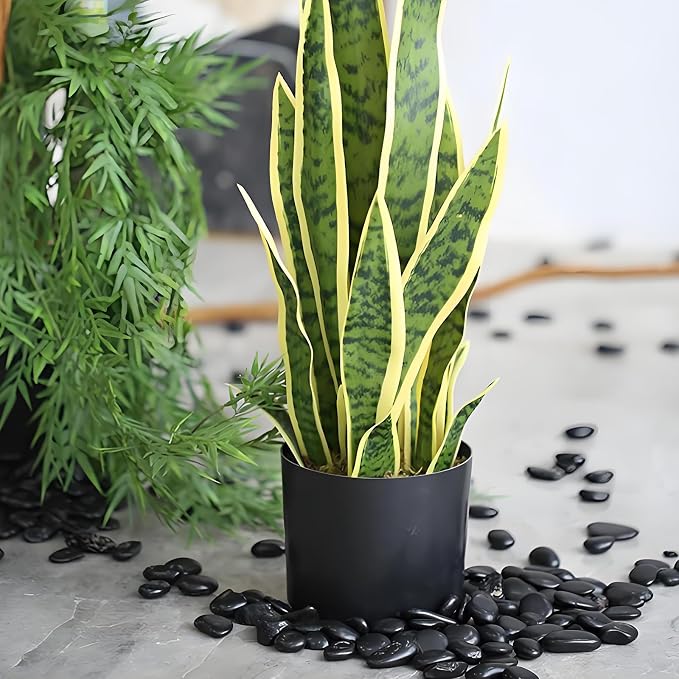 FANTIAN 2 lbs Black Pebbles for Indoor Plants, 3/8 inch Decorative Rocks - Image 7
