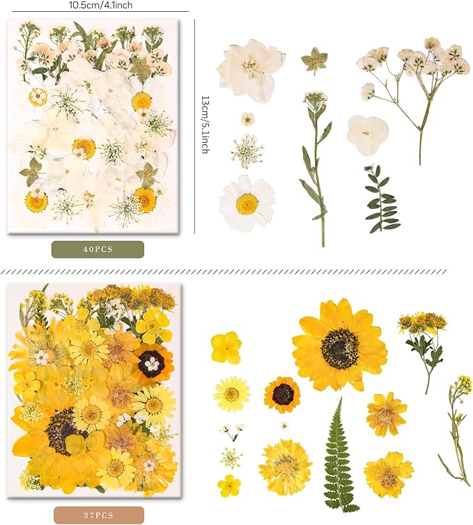 330PCS Natural Color Pressed Dried Flowers - Image 5
