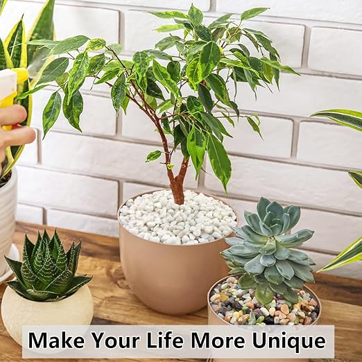 YISZM 5LB Succulent and Cactus Gravel Pebbles, 3/8 Inch Natural Decorative - Image 3
