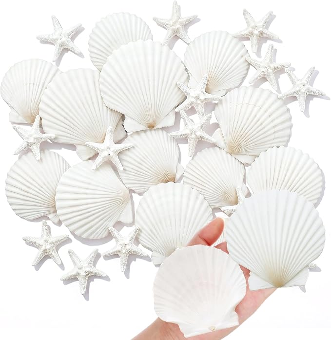 Junkin 40 Pack Natural Scallop Shells and Artificial Starfish by Junkin
