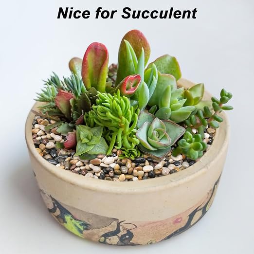 Decorative Rocks for Potted Plants, Virekm River Rocks, Decorative Ornamental - Image 8
