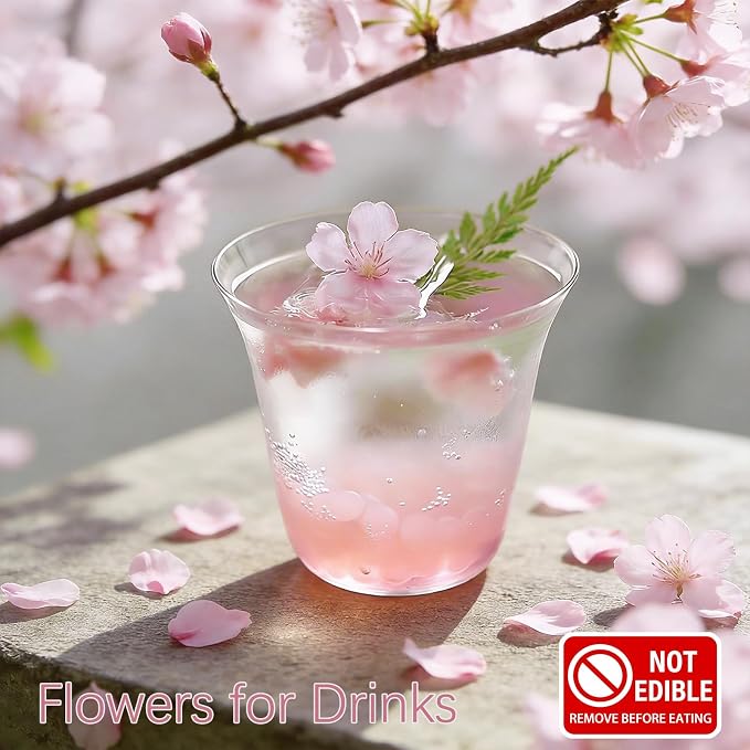 48 Pcs Mix Natural Dried Pressed Cherry Blossoms - Image 6