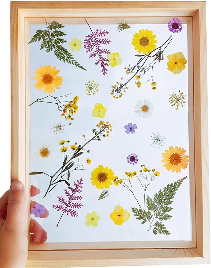 Woohome 160PCS Real Pressed Flowers, Dried Pressed Flowers Colorful Real - Image 9