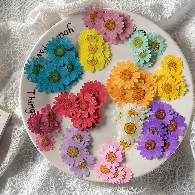 50pcs Natural Dried Daisy Flower, Vacuum Packaging, Pressed Flower - Image 5