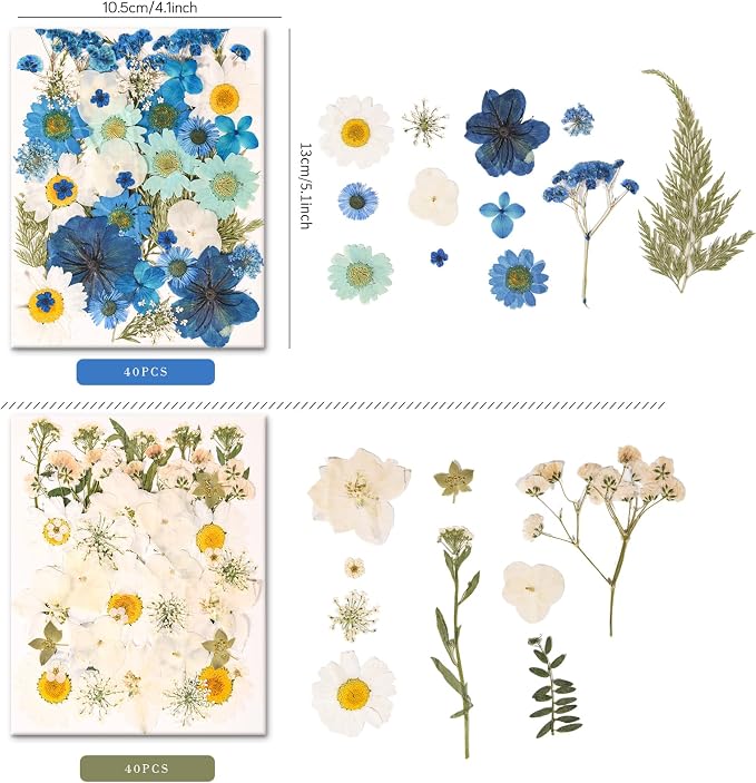 330PCS Natural Color Pressed Dried Flowers - Image 6