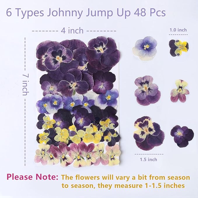 48 Pcs Mix Natural Dried Pressed Flowers - Image 5