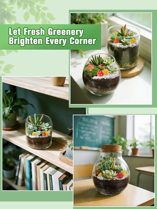 Terrarium Kit Adults - Image 7