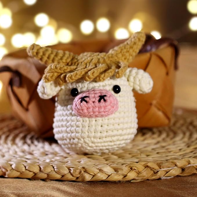 Crochet Kit for Beginners Adults - Image 7