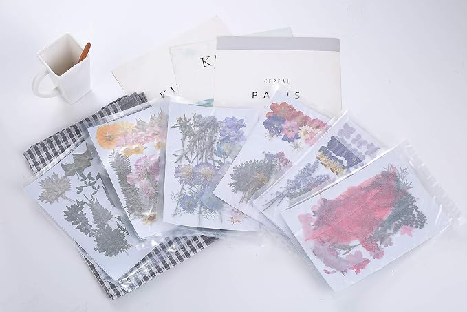 8 Types 46pcs Real Dried Pressed Flowers Leaf Plant Herbarium - Image 7
