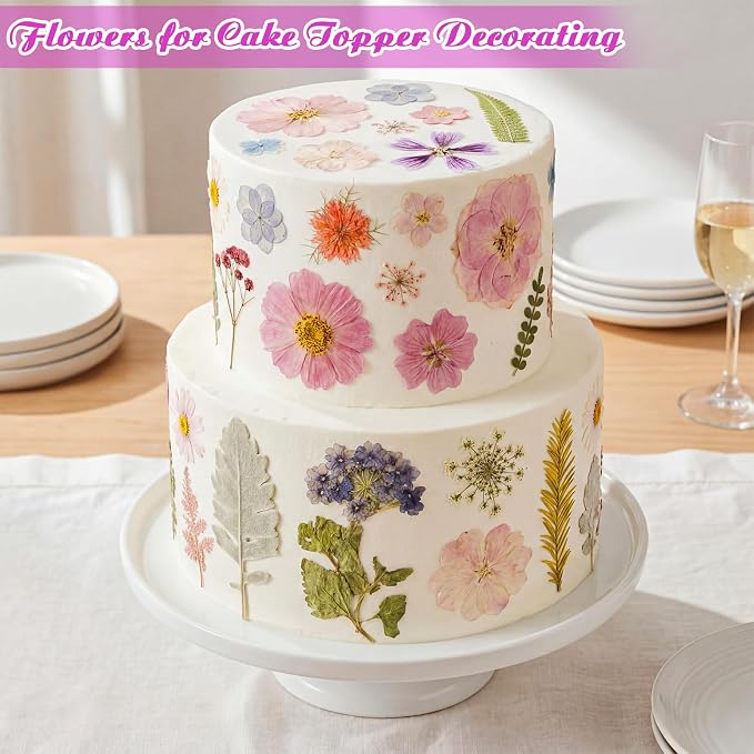96 Pcs Natural Dried Pressed Flowers - Image 2