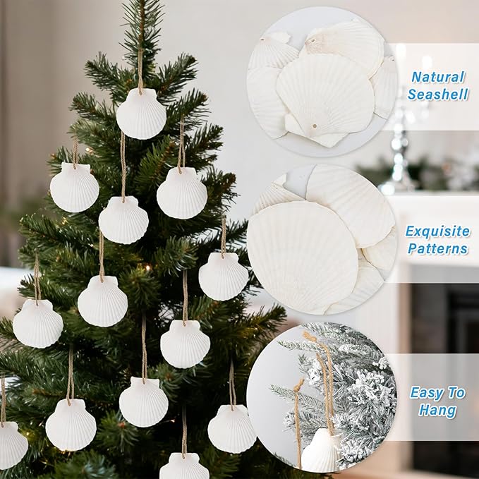 16PCS Natural Sea Shells 2.5"-3.5" Perforation Scallop Shells - Image 4