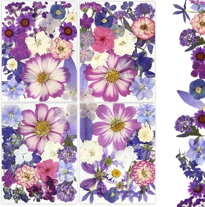 80Pcs Dried Pressed Flowers Purple, Real Natural Bulk Pressed Flowers by Buzidao