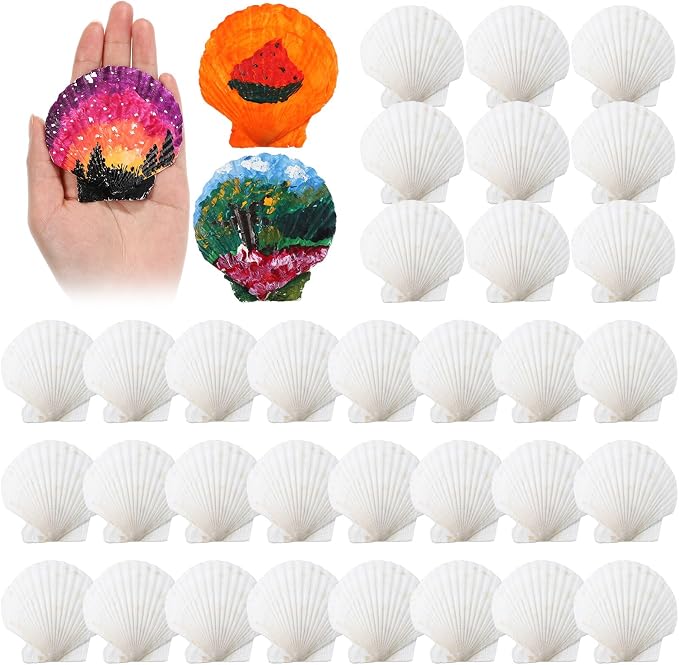 GlikCeil 50 Pcs Sea Shell for Crafting Natural Large Scallop White Oyster by GlikCeil