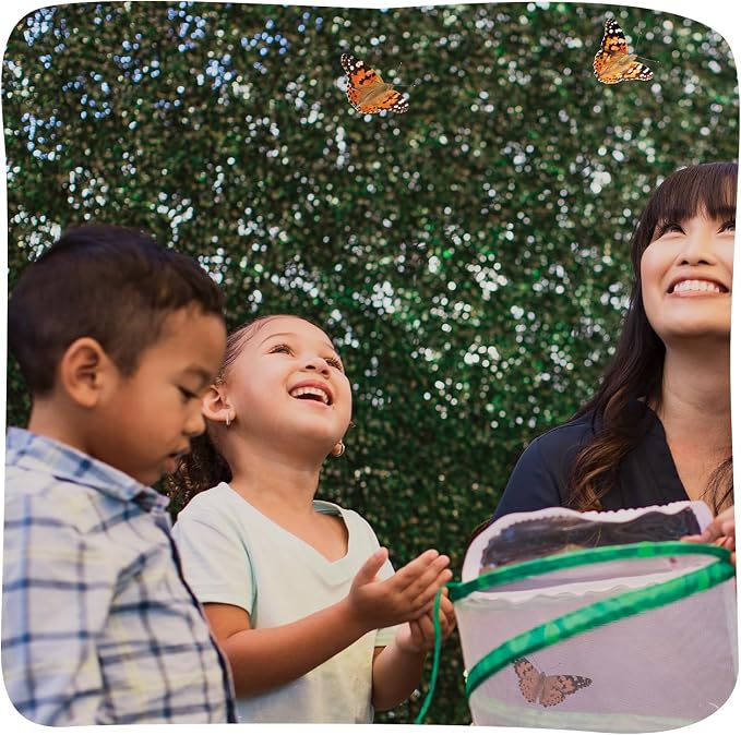 Insect Lore Raise and Release Butterfly Garden Kit – Caterpillar Habitat - Image 6