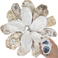 20 PCS Flat Oyster Shells for Crafts 3"-5" Natural Oyster Shells Bulk, for Home by QEQEKAKA