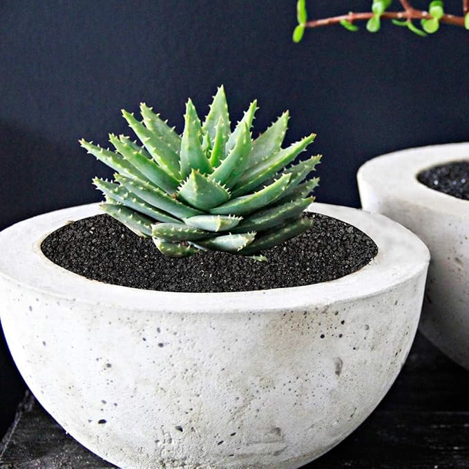 TOYPOPOR 6lb Succulents and Cactus Black Sand, Décor & Additive Tiny Stones - Image 5