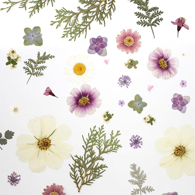40PCS Real Nature Dried Pressed Flowers - Image 4