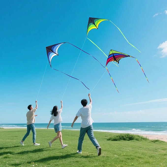 Large Single Line Beach Kite for Adults - Image 3