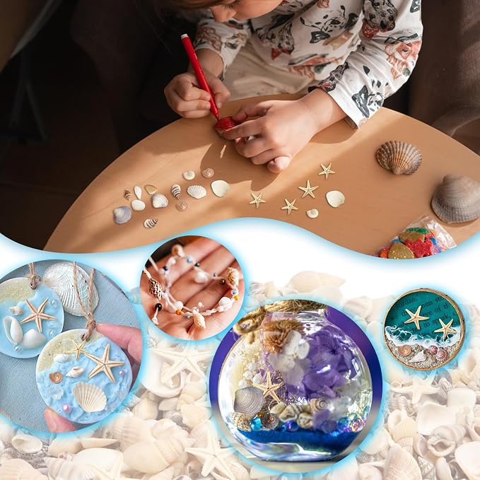 1200 Pieces Tiny Sea Shells Small Natural Starfish Mixed Ocean Beach Spiral - Image 6