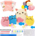 Crochet Kit for Beginners by Unknown