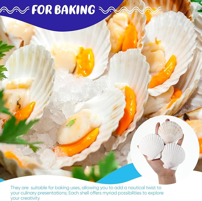 GlikCeil 50 Pcs Sea Shell for Crafting Natural Large Scallop White Oyster - Image 6