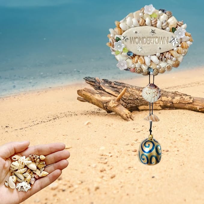 2000 PCS 12 Kinds of Tiny Sea Shells - Image 8