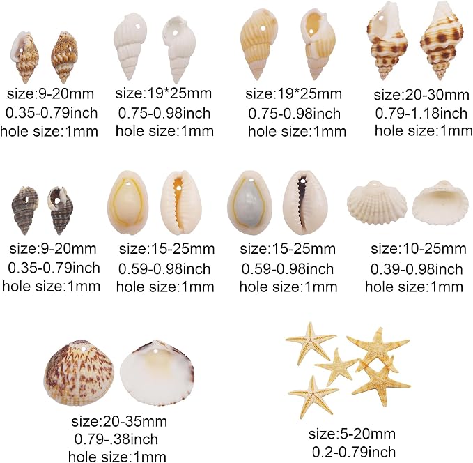 yaokan 10 Styles Natural Sea Shells & Starfish Set - Image 3