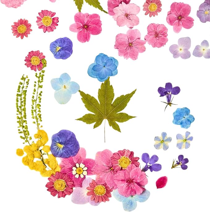 Real Dried Pressed Flowers for Crafts, Scrapbooking, Card Making, DIY - Image 8