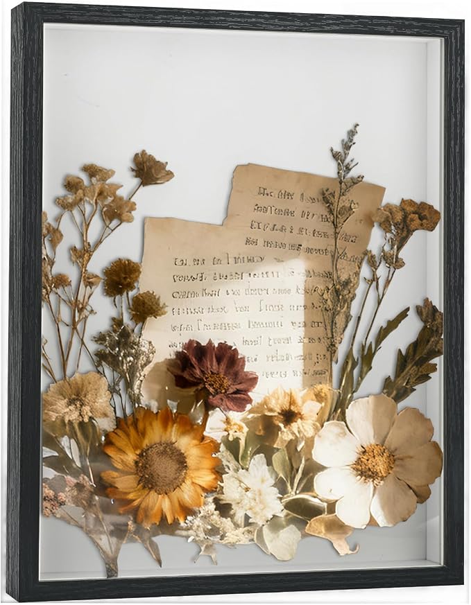 11×14 Shadow Box Frame Display Case by TILBLKUP