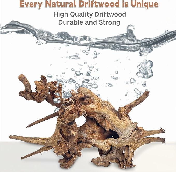 PINVNBY Natural Driftwood for Aquarium Fish Tank Decorations Assorted Branches - Image 2