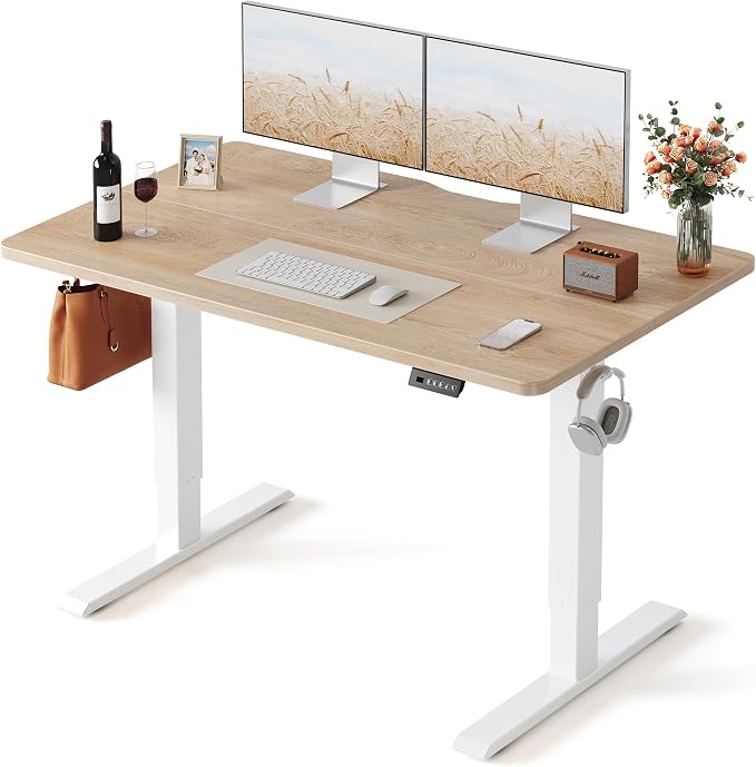 FEZIBO Standing Desk, 48 × 24 Inches Electric Height Adjustable, Sit and Stand by FEZIBO