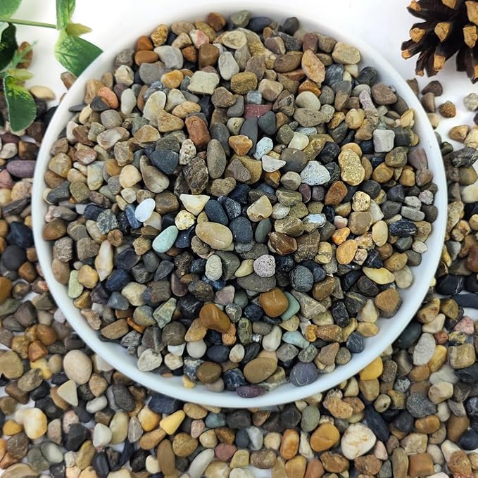 YISZM 5lbs Aquarium Gravel, 1/4" Fish Tank Gravel Natural River Rocks Succulent by YISZM-ForYourNaturalLife