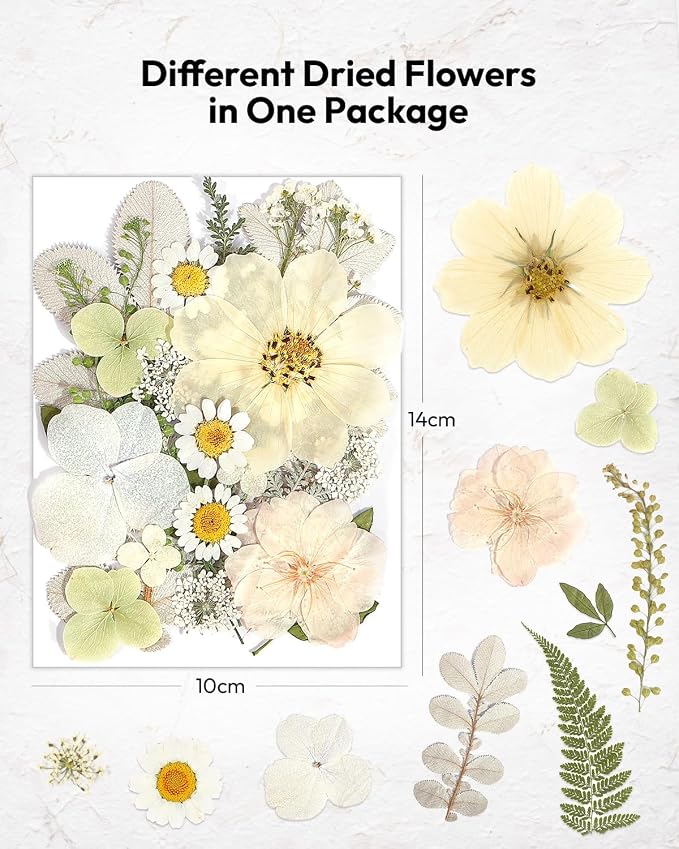 Dried Flowers, Resiners 100Pcs Pressed Flowers - Image 5