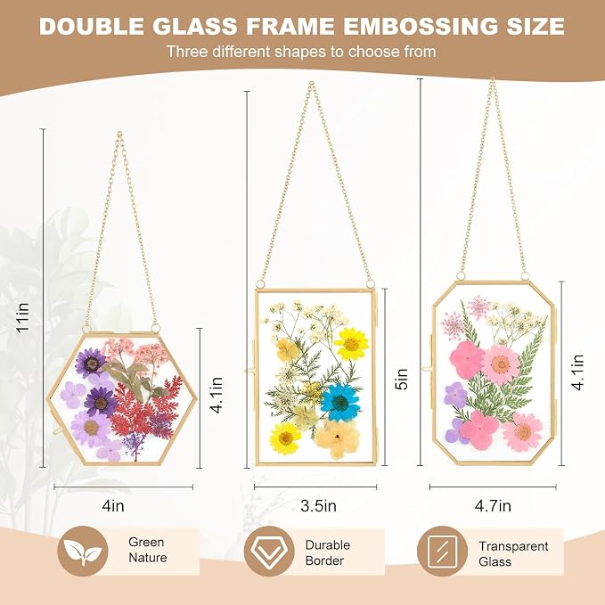 Lujechii 3 Pcs Double Glass Pressed Flower Frame, - Image 4