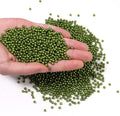2500pcs Green 4mm Pearl Beads by chuyau
