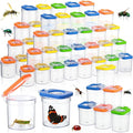 Halloscume 60 Pcs Insert Bug Viewer by Halloscume