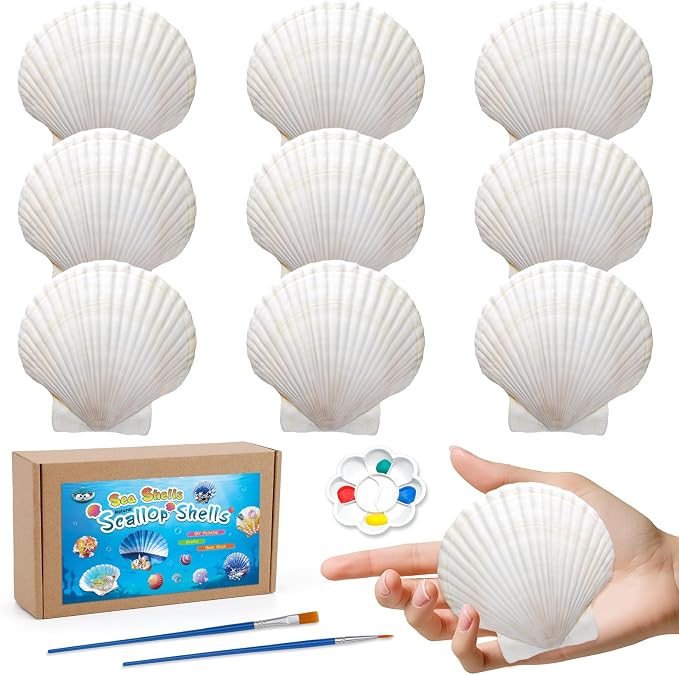 10 PCS Scallop Shells, Seashells by MORFEN