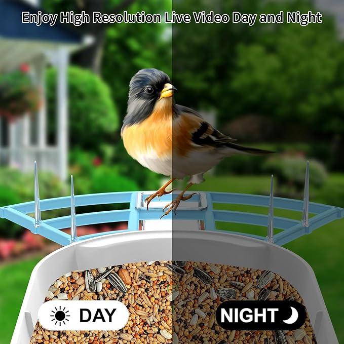Bird Feeder with Camera, Smart AI Bird Breed Recognition, Birds Motion - Image 5